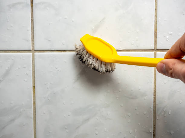 Best Emergency Mold Removal  in Green Park, MO