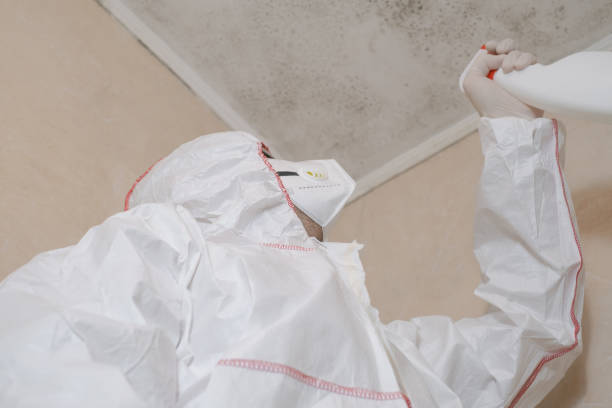 Best Crawl Space Mold Removal  in Green Park, MO