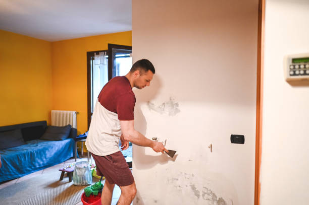 Certified Mold Removal in Green Park, MO